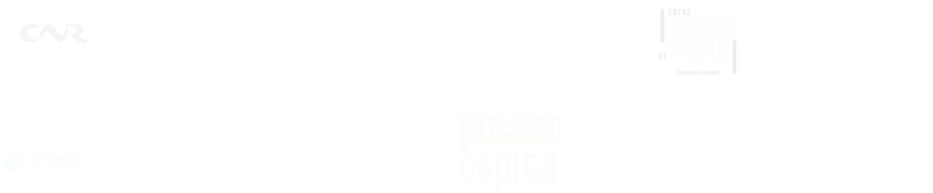 L Eclaireuse - restaurant SAINT-CLAIR-DU-RHONE